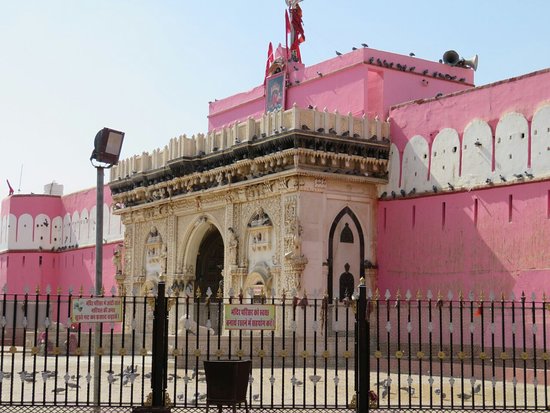 hoek Bedienen Lokken Deshnok Karni Mata Temple in Bikaner | देशनोक करणी माता मंदिर